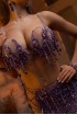 Professional bellydance costume (Classic 453A_1)